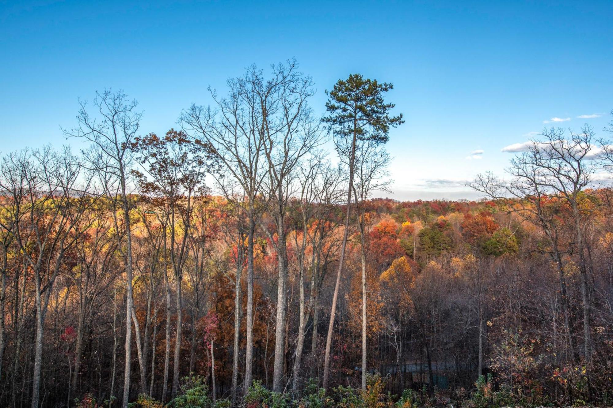 Willa The Treetop Sanctuary Sevierville Zewnętrze zdjęcie